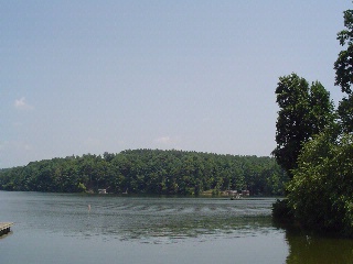 Harbor Ridge Wooded Shoreline.