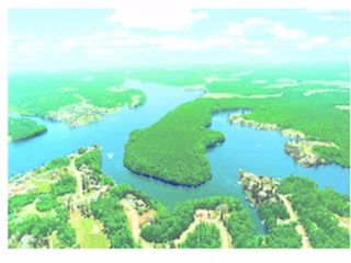 Plantation Pointe - Aerial View