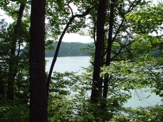 View from Lakeshore Landing Lot 10