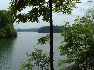 View from Lakeshore Landing Lot 5