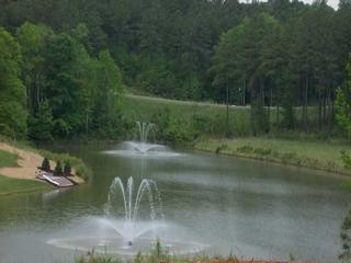 Pond fountain view from Lot 101 - $59,900