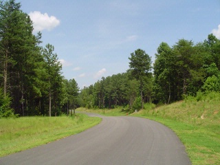 Plantation Pointe Paved Roads 